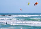 Phil Dobson_Follow my leader, Cape Provence, South Africa.jpg